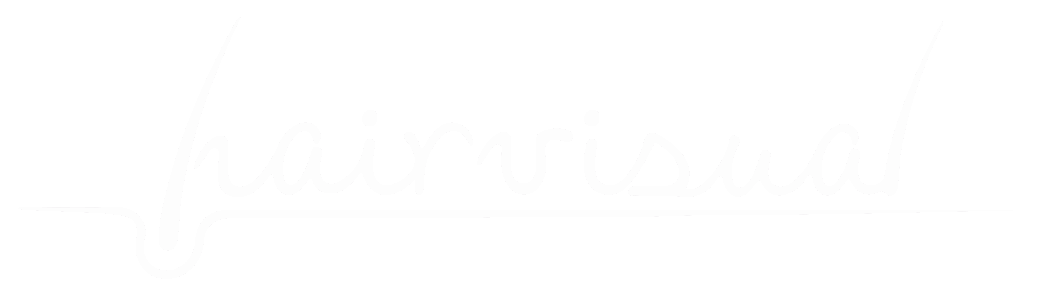 hairvisual logo
