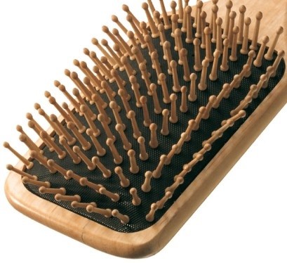 nieuws gesponsord Aanbod Ecobell Borstel houten haarborstel met massage pennen | Hairvisual